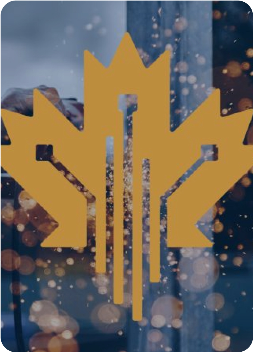 Rectangle 12967 (1) cdap grant quebec pcan subvention canada subvention gouvernementale adoption quebec québec. ca